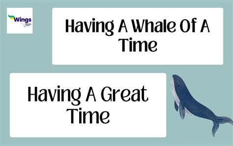 Whale Of The Time