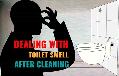 what causes urine smell in a clean bathroom in the toilet and after water is ran?