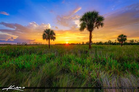 what is the general landscape of florida?