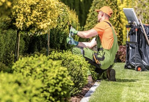 what is the market like for landscaping companies?