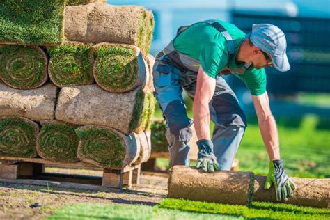 What Skills Do You Need To Become A Landscaper?