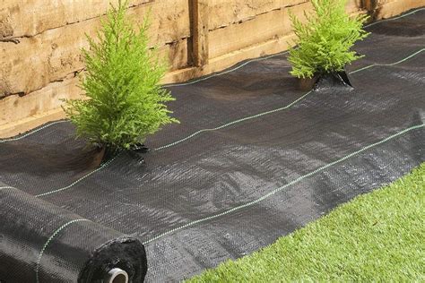 what to use on top of landscaping cloth?