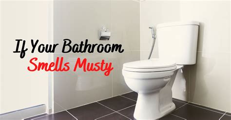 What Would Cause Your Bathroom To Smell Musty Or Moldy?