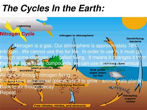 What A Cycle Earth Science Week Draw And Label The Water Cycle - Draw And Label The Water Cycle