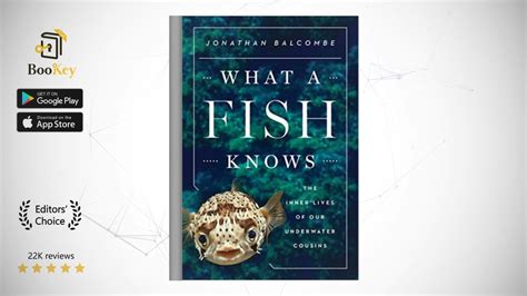 What A Fish Knows Summary Jonathan Balcombe 5 Simple Sentences About Fish - 5 Simple Sentences About Fish