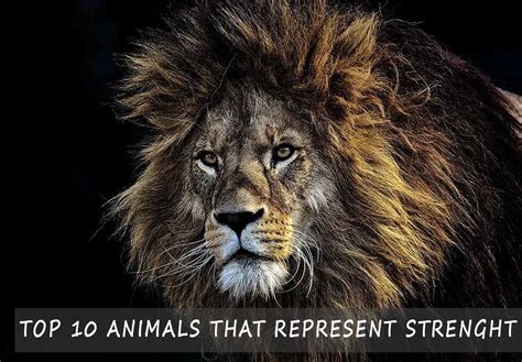 what animal symbolises strength