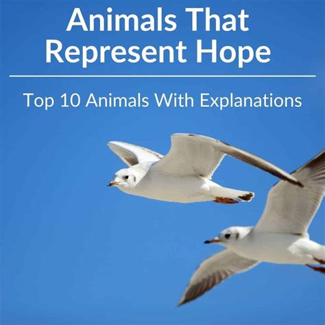 what animal symbolizes hope