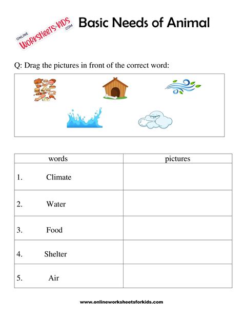 What Animals Need Worksheet Documentine Com Zoo Worksheet For Kindergarten - Zoo Worksheet For Kindergarten