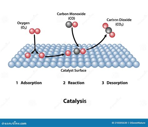 What Are Acidic Catalyst Surface Groups