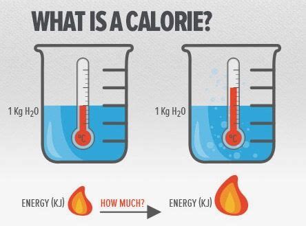 What Are Calories Live Science Science Calorie - Science Calorie