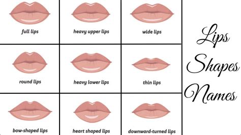 what are considered small lips images