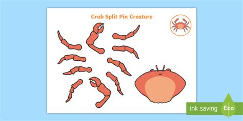 What Are Crustaceans Answered Twinkl Teaching Wiki Crustacean Worksheet For Kindergarten - Crustacean Worksheet For Kindergarten