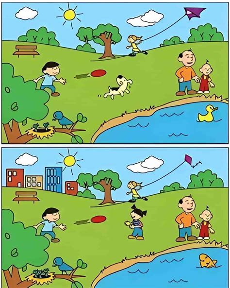 What Are The Differences Between Food Chain And Food Web