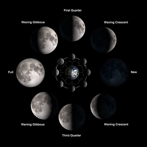 What Are The Moonu0027s Phases Nasa Space Place 8 Phases Of The Moon Printable - 8 Phases Of The Moon Printable