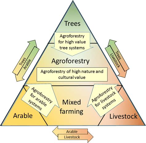 what are types of agroforestry
