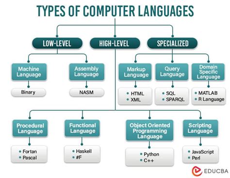 what computer languages should i learn