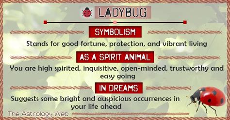 what do ladybugs mean spiritually