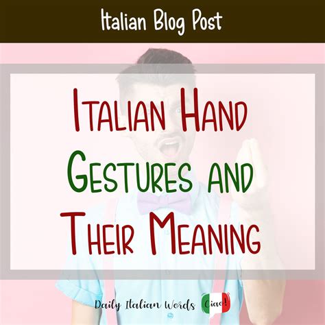 What Does Bigotto Mean In Italian  Wordhippo - Bigototo