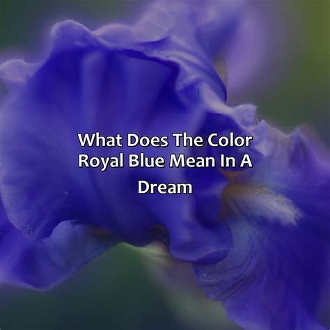 what does coloring mean
