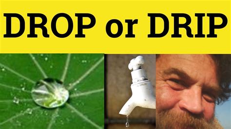 What Does Drop Science Mean Drop Science Definition Drop Science - Drop Science