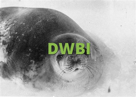 What Does Dwbi Mean