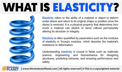 What Does Elastic Mean In Economics