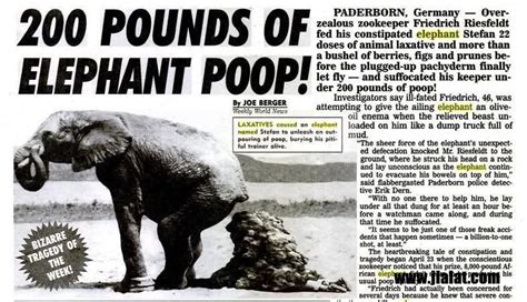 what does elephant laxative do to humans