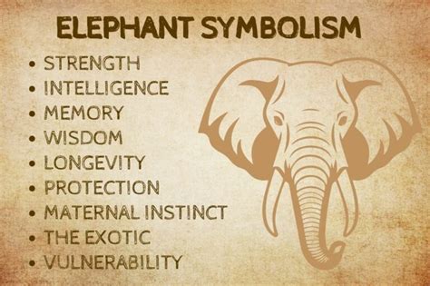 What Does Elephants Symbolize