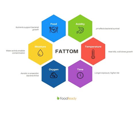 What Does Fattom Stand For