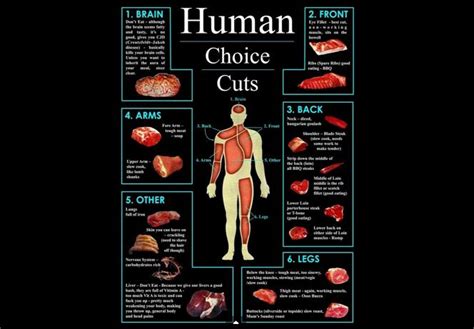 What Does Human Meat Taste Like