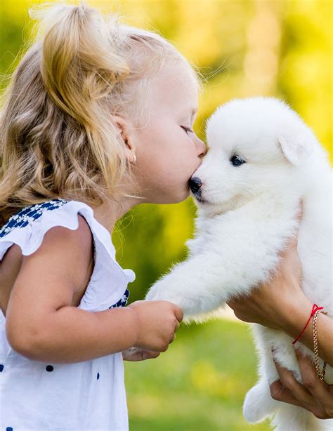 what does kissing a baby dog
