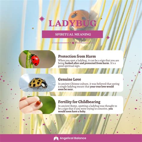 What Does Lady Mean