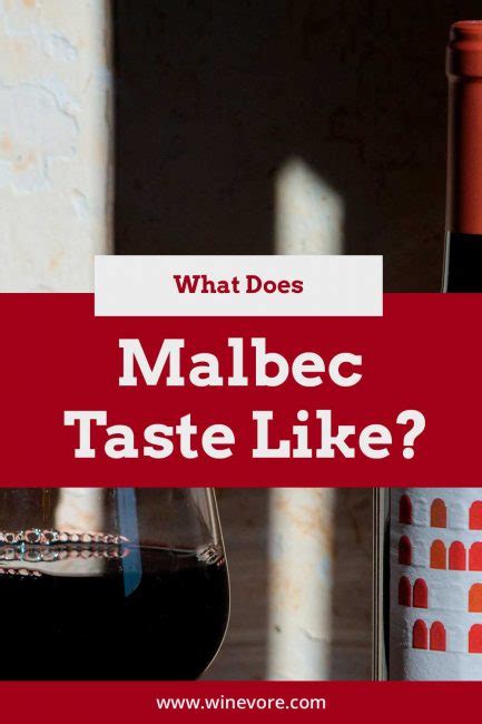what does malbec taste like