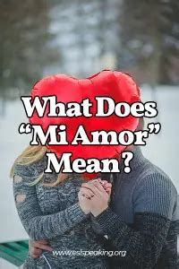 What Does Mi Vida Mean