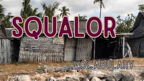 What Does Squalor Mean