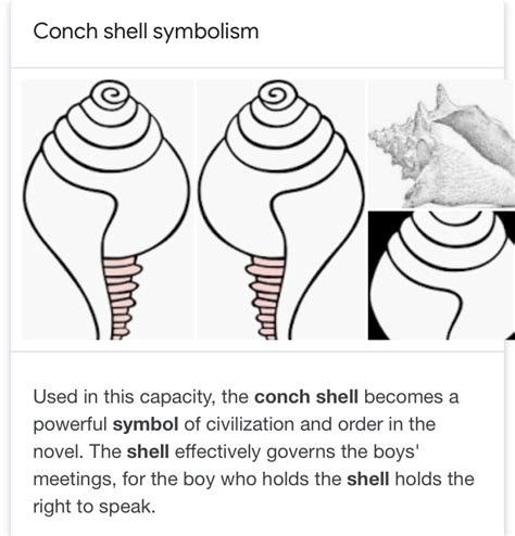 What Does The Conch Represent In Lotf