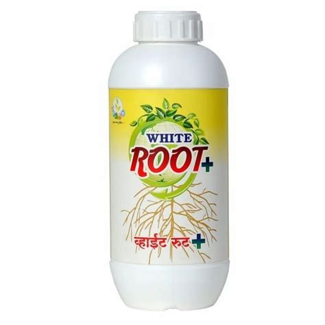 What Does The Root Plus Men