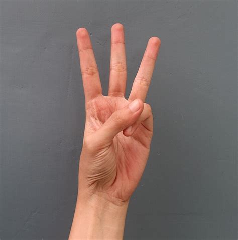 What Does The Three Fingers In Hunger Games Mean
