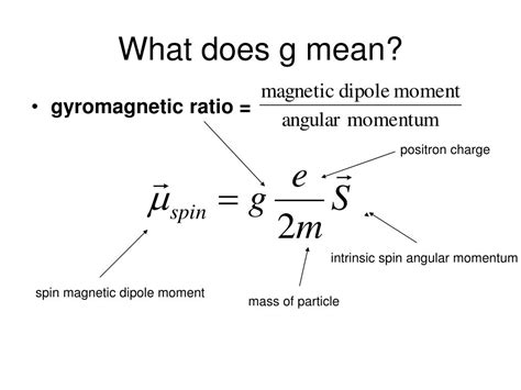 What Does Wsu G Mean In Text