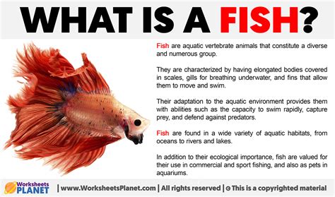 what fish means