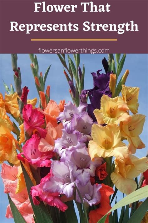 What Flower Represents Strength