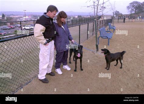 what happened to bev ladouceur images