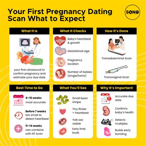 what happens at first dating scan