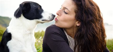 what happens if you kiss <strong>what happens if you kiss a dog</strong> dog