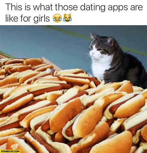 what internet dating is like for girls (cat pic(