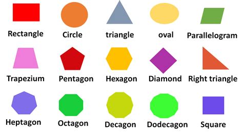 What Is A 2d Shape Definition Examples Amp All Two Dimensional Shapes - All Two Dimensional Shapes