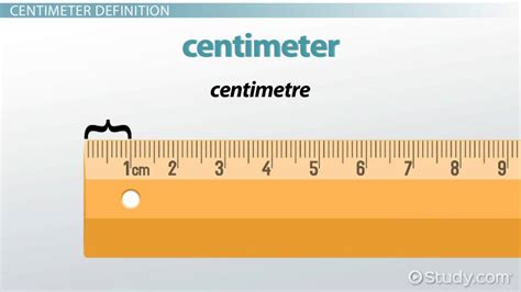 What Is A Centimeter Definition Measurement Examples Ruler 5 Things Measured In Meters - 5 Things Measured In Meters