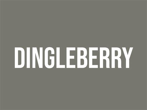 What Is A Dingleberry