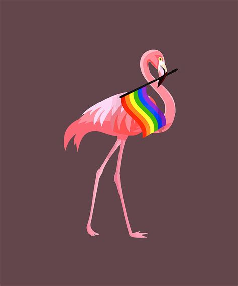 what is a flamingo with being gay