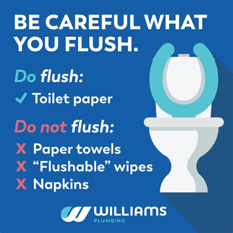 what is a flush